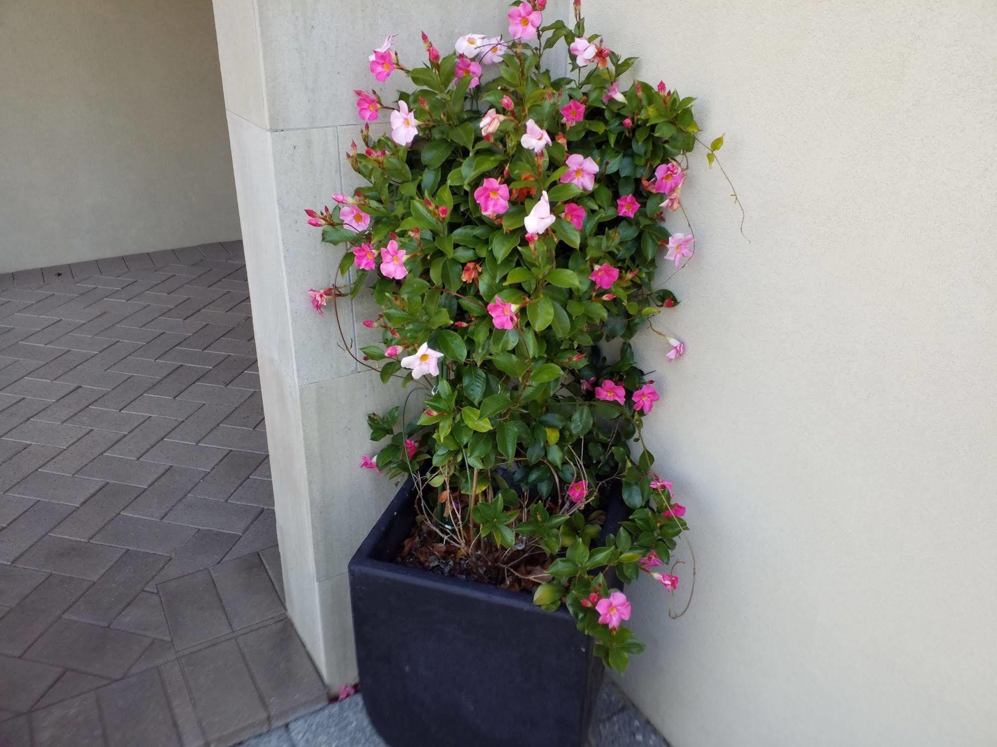 Sorrento Beach Bed&Breakfast Perth Exterior foto